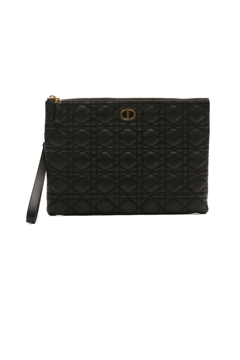 Large Caro Daily Pouch
