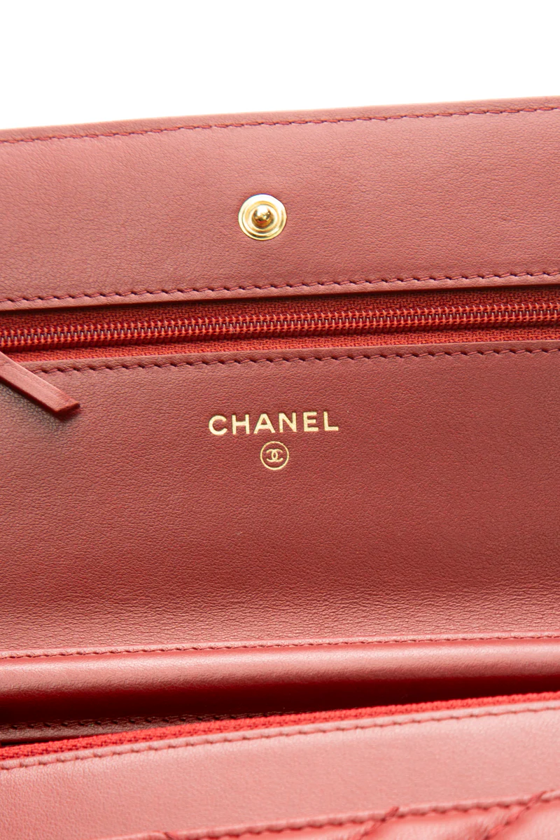 Metiers D'Art Wallet on Chain - Image 13