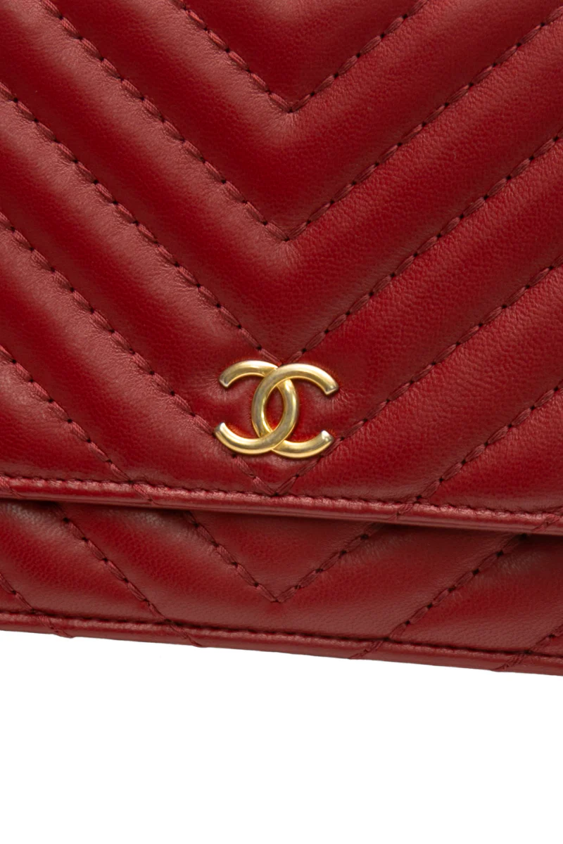 Metiers D'Art Wallet on Chain - Image 6