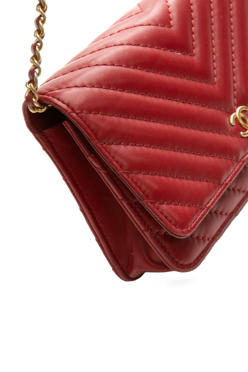 Metiers D'Art Wallet on Chain - Image 7