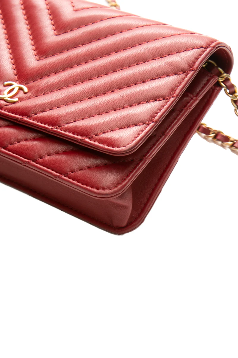Metiers D'Art Wallet on Chain - Image 9