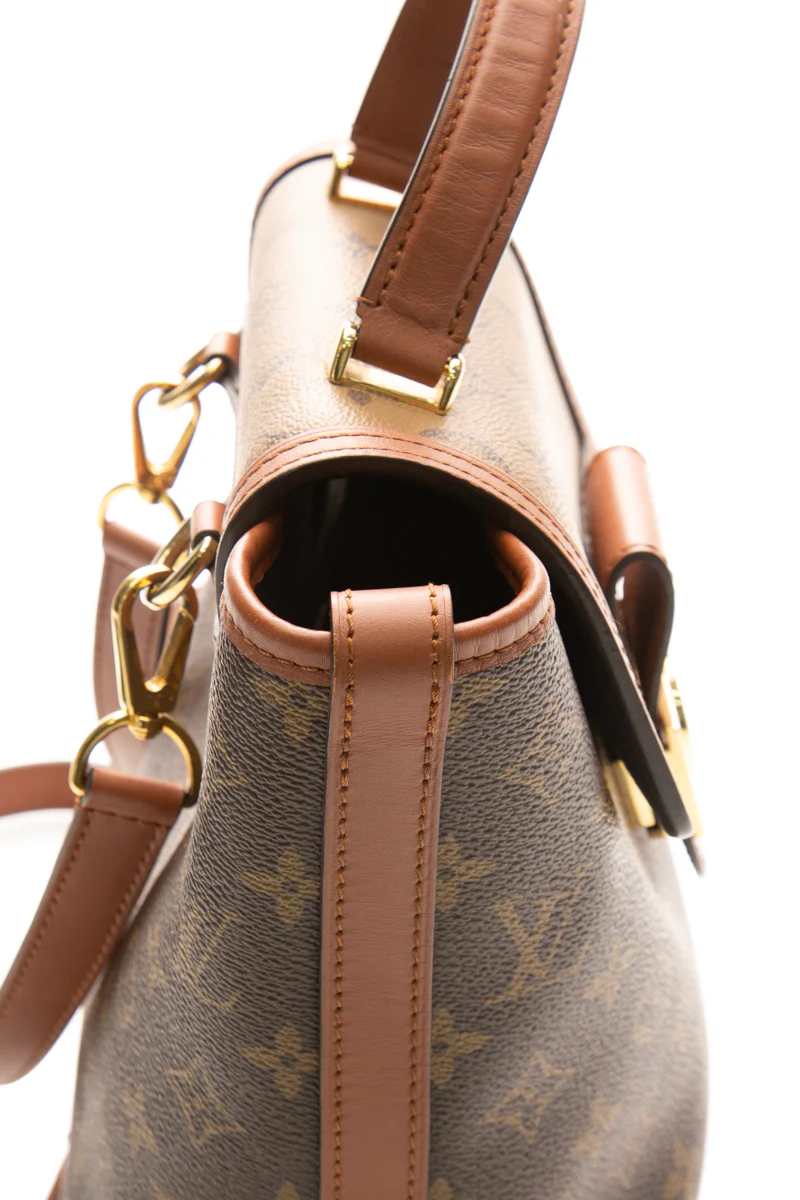 Dauphine Backpack - Image 11