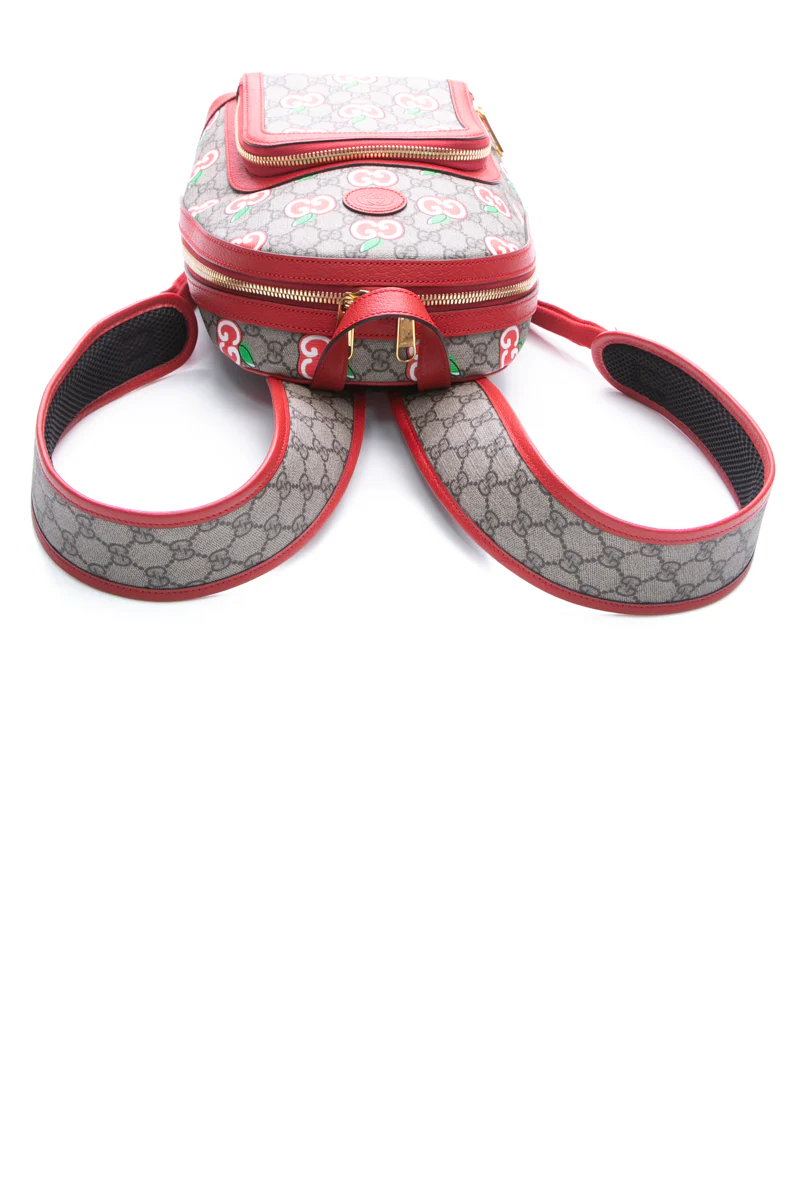 GG Supreme Apple Backpack - Image 5