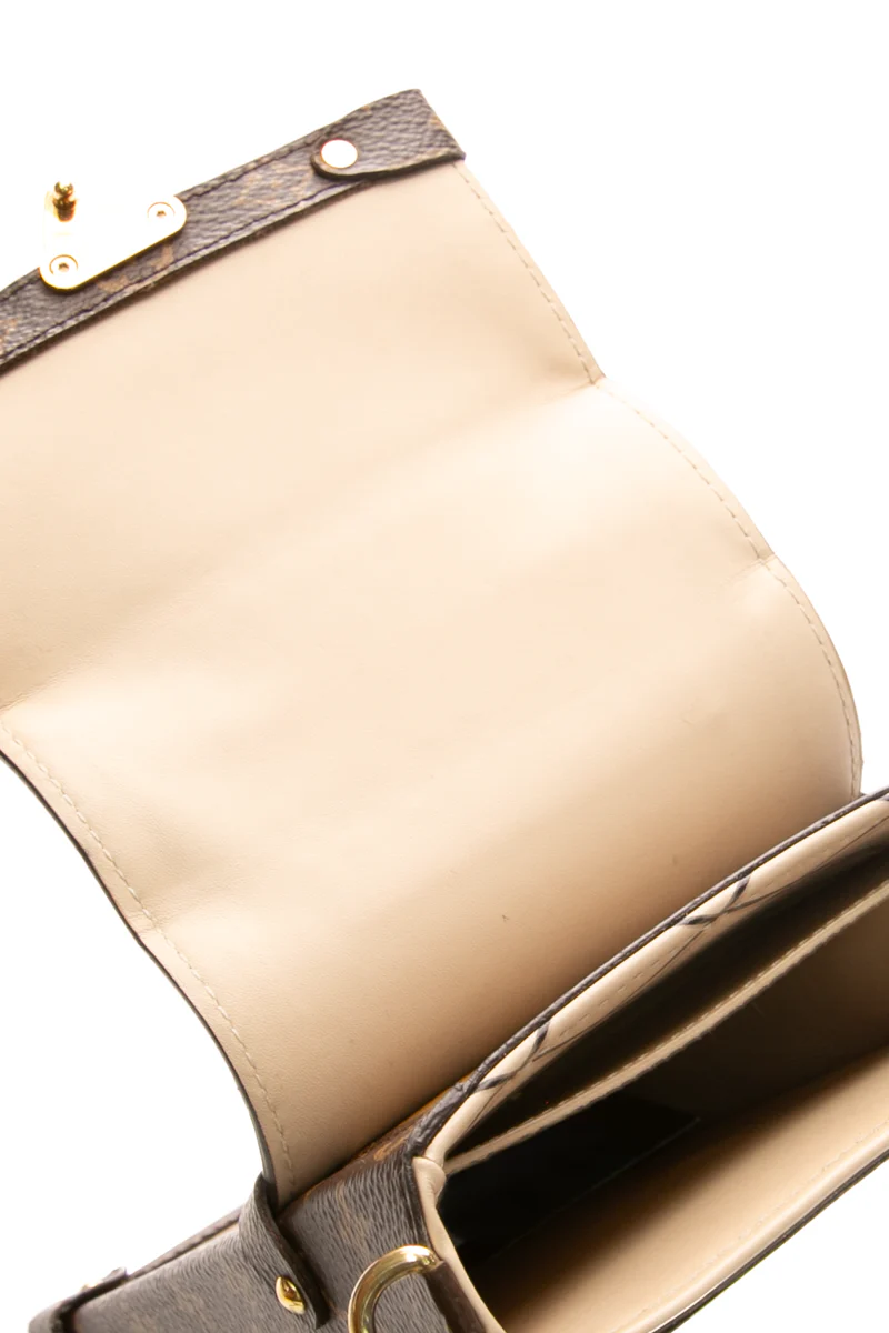Vertical Trunk Pochette - Image 5