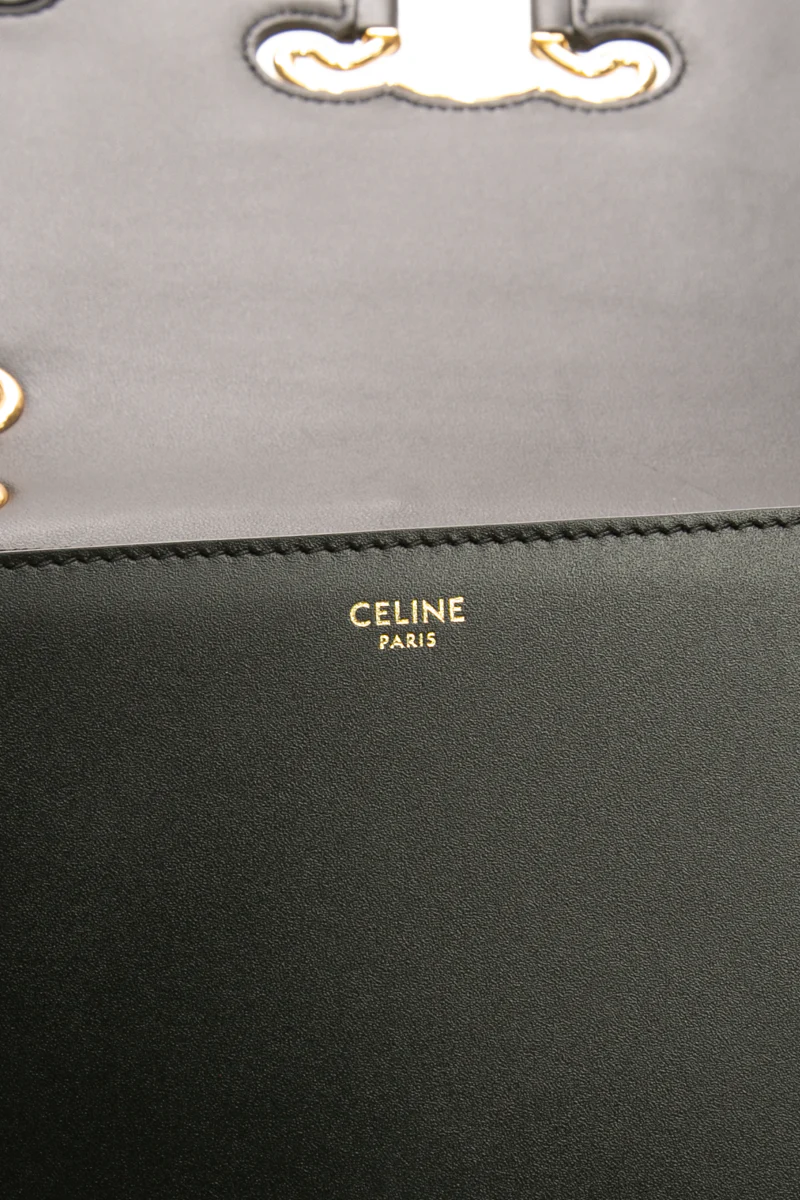 Triomphe Medium Frame Bag - Image 8